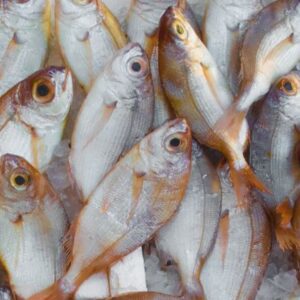 Pescados